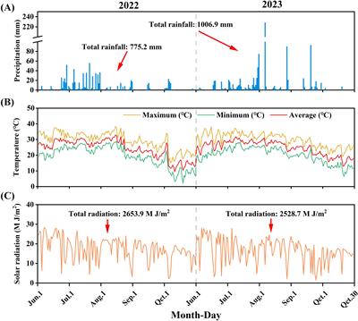 Enhancing production efficiency through optimizing plant density in maize–soybean strip intercropping